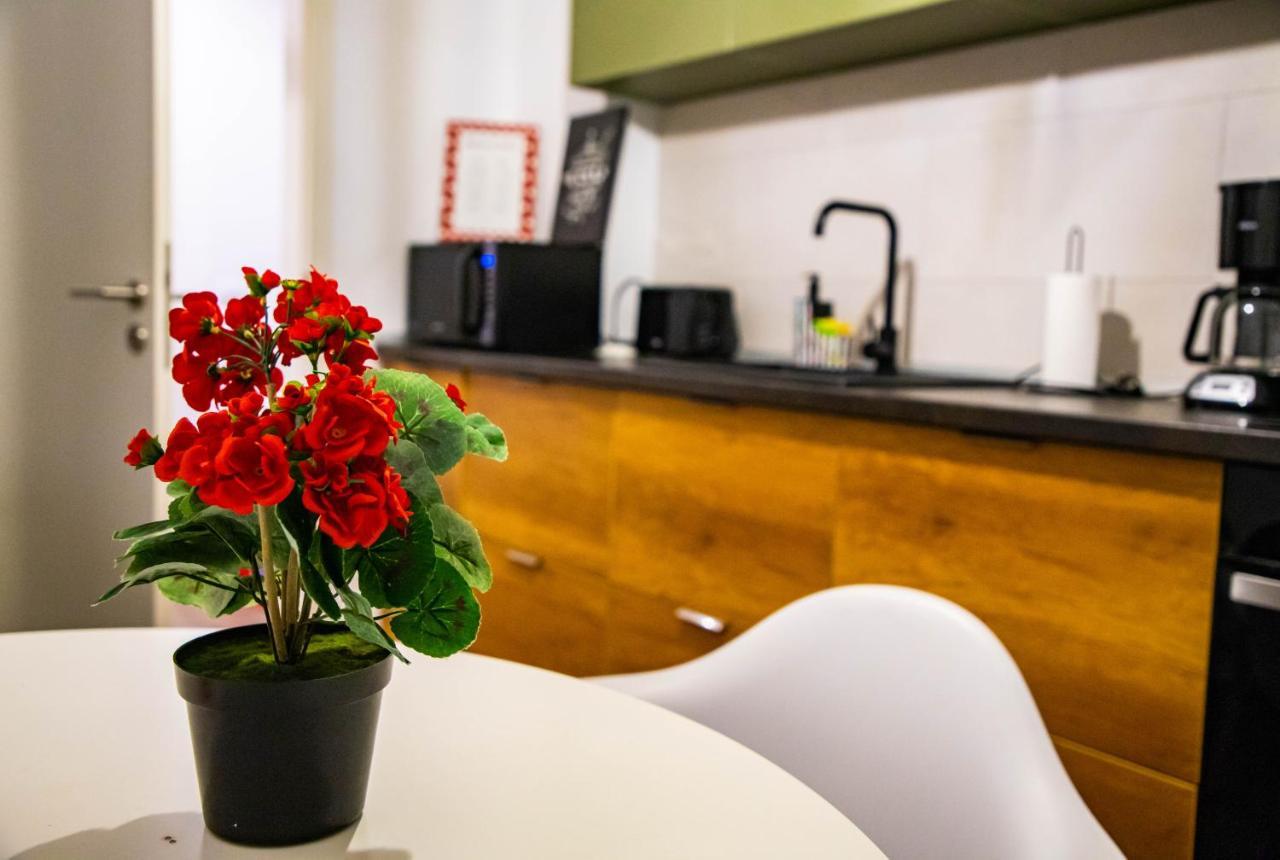 Dream Place Coresi Brasov Apartman Kültér fotó